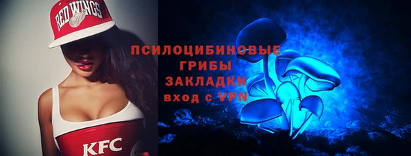 индика Бугульма