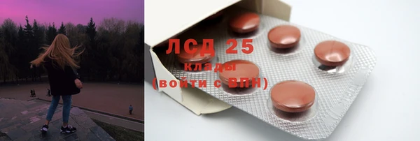 ПСИЛОЦИБИНОВЫЕ ГРИБЫ Верхнеуральск