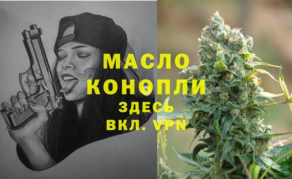 индика Бугульма