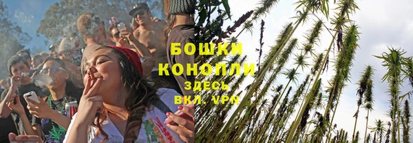 дживик Беломорск