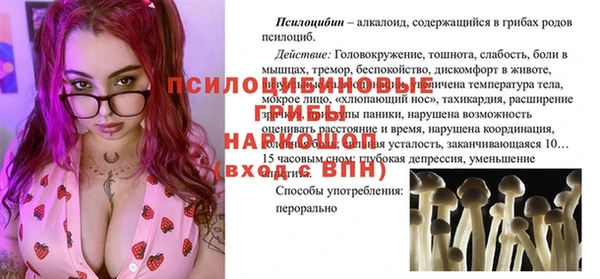 Альфа ПВП Богородск