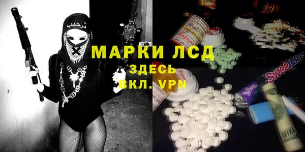 индика Бугульма